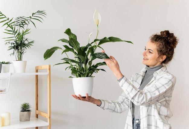  Фэн-шуй комнатные растения для баланса и уюта
